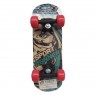  Mini Skate para niños 43 cm Sport Runner patineta Deporte