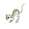 Esqueleto Gatito 19x14cm Decoración Halloween F&m