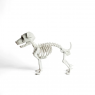 Esqueleto Perro Schnauzer Decoración Halloween F&m