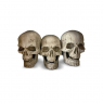 Estacas Calaveras Luz Led 29cm Deco Halloween Frank&mortis