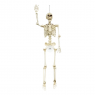 Esqueleto Tamaño Real Decoracion Halloween 165 Cms Frank & Mortis