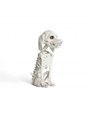 Esqueleto Perro Poodle Decoración Halloween F&m