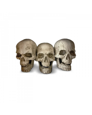 Estacas Calaveras Luz Led 29cm Deco Halloween Frank&mortis