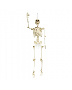 Esqueleto Tamaño Real Decoracion Halloween 165 Cms Frank & Mortis
